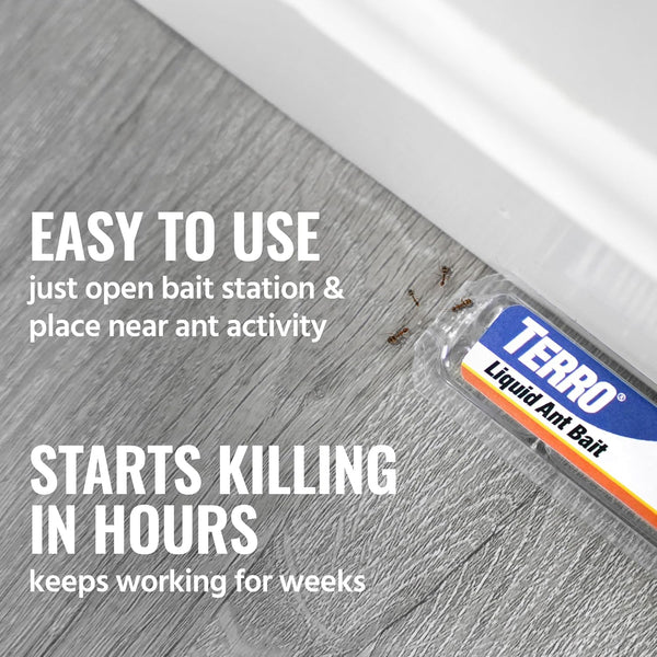 Ant-Free Home Solution